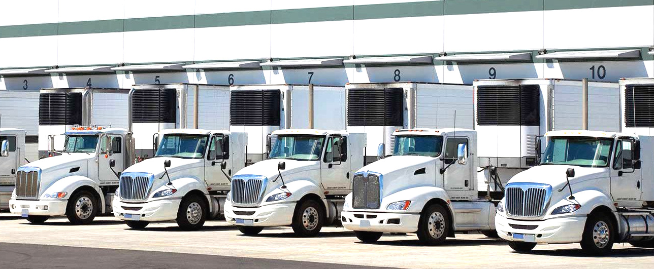 Collection of Trucks